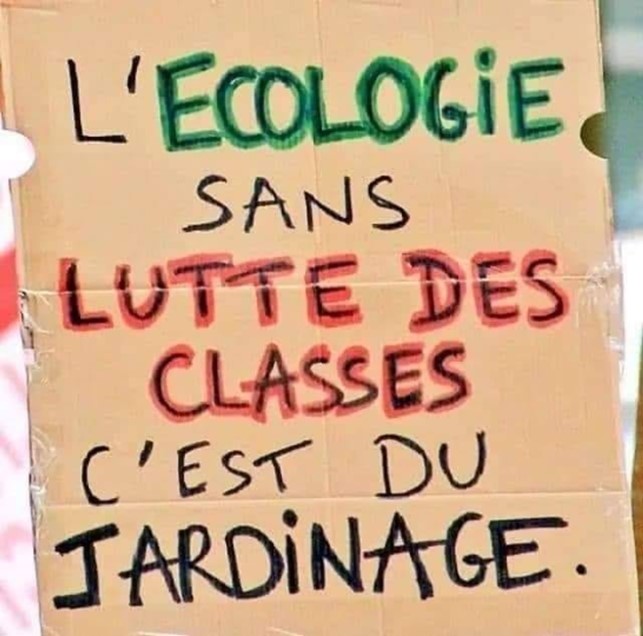 CIété2020 7jardinage 3910e