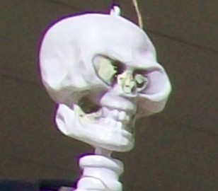 Image7